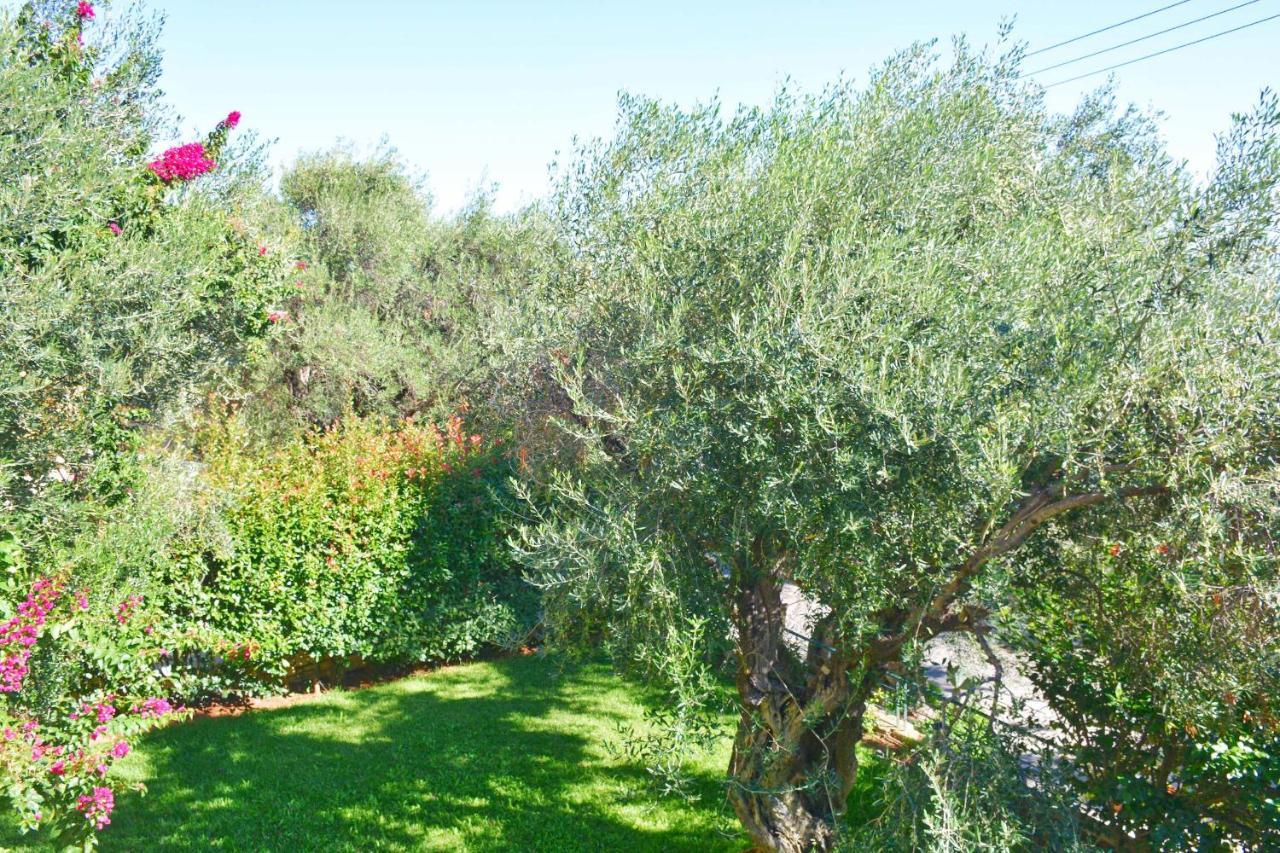 Pebbles And Sea At With Shared Pool Appartement Barbati